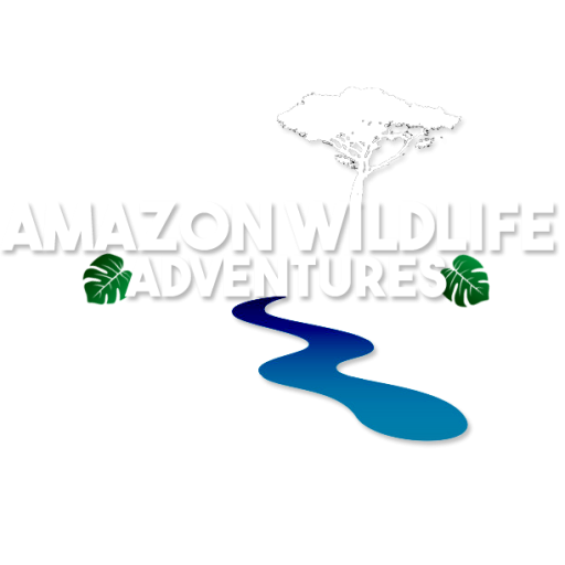 amazon rainforest tours